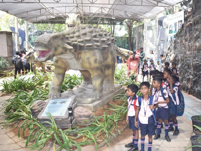 School Field Trip 10