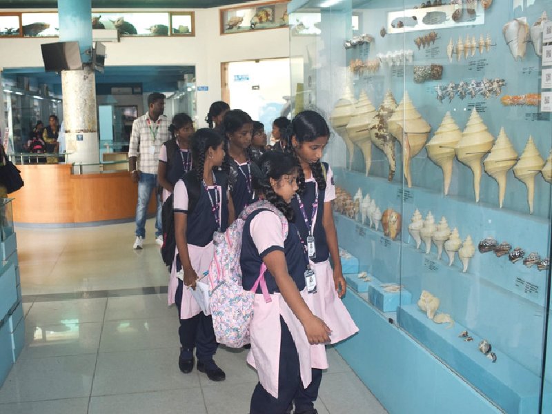 School Field Trip 11