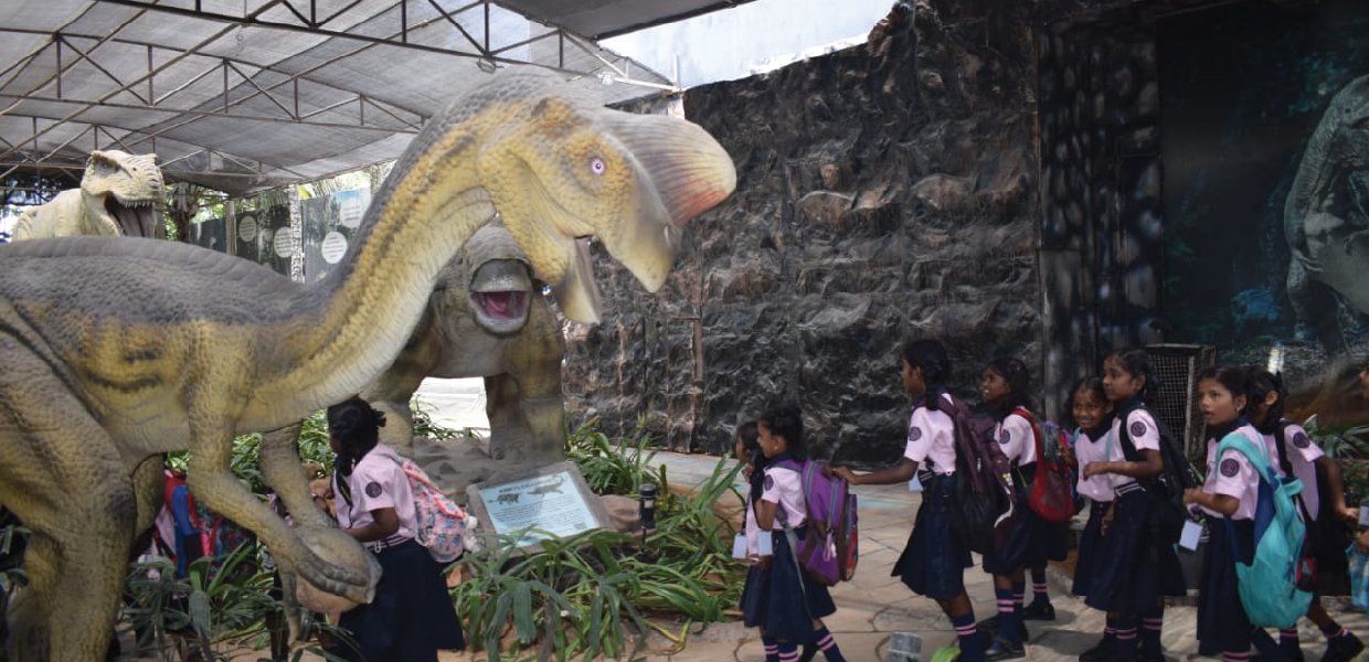 School Field Trip 9